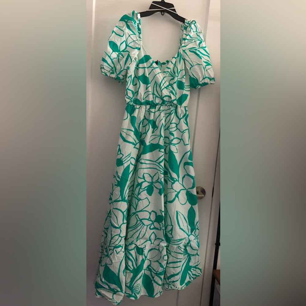 Zara Green and White Flutter Sleeve Maxi Dress